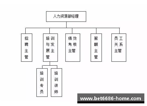 NBA管理层角色解析与职责分析