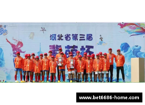 大龙足球：梦想与拼搏的传奇之路