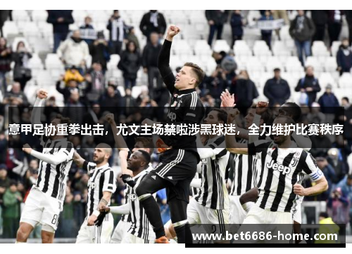 意甲足协重拳出击，尤文主场禁啦涉黑球迷，全力维护比赛秩序
