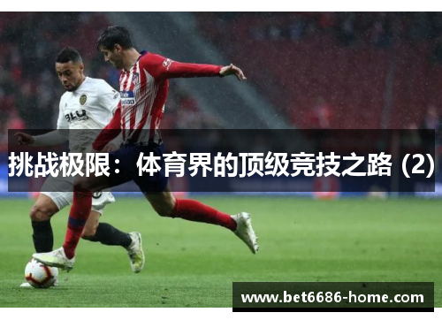 挑战极限：体育界的顶级竞技之路 (2)